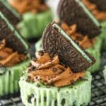 Side view of Mini Mint Chocolate Oreo Cheesecakes on a gray metal stand