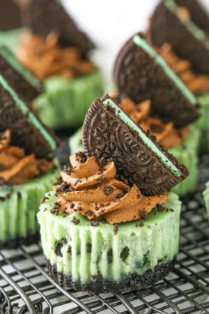 Side view of Mini Mint Chocolate Oreo Cheesecakes on a gray metal stand