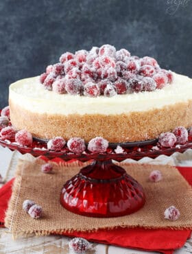 No Bake Sparkling Cranberry Orange Cheesecake on red stand close up
