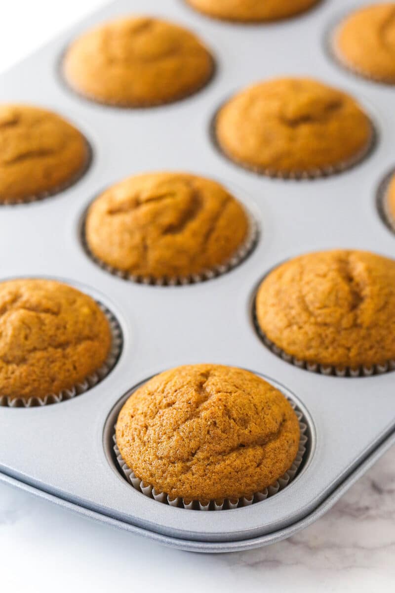 Pumpkin cupcakes cooling in a muffin pan.
